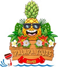 Ottawa Palapa Tours